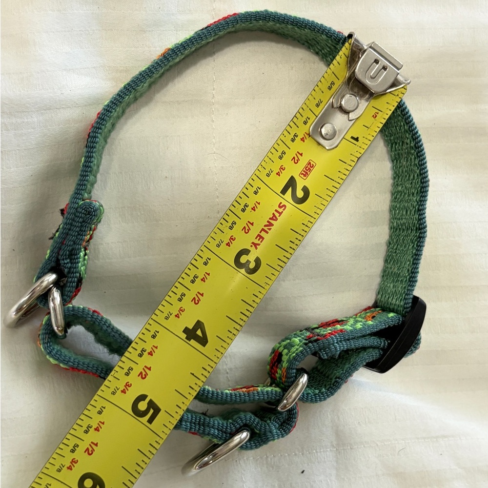 LUPINE PET BEETLEMANIA MARTINGALE COLLAR - Picture 4 of 4
